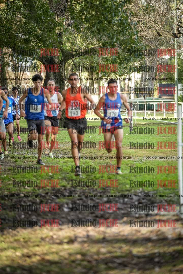 Fotos en el circuito