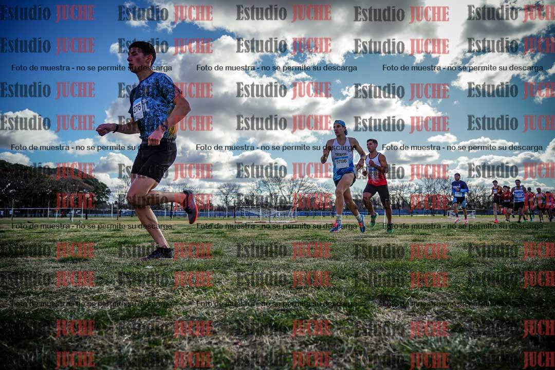 Fotos en el circuito