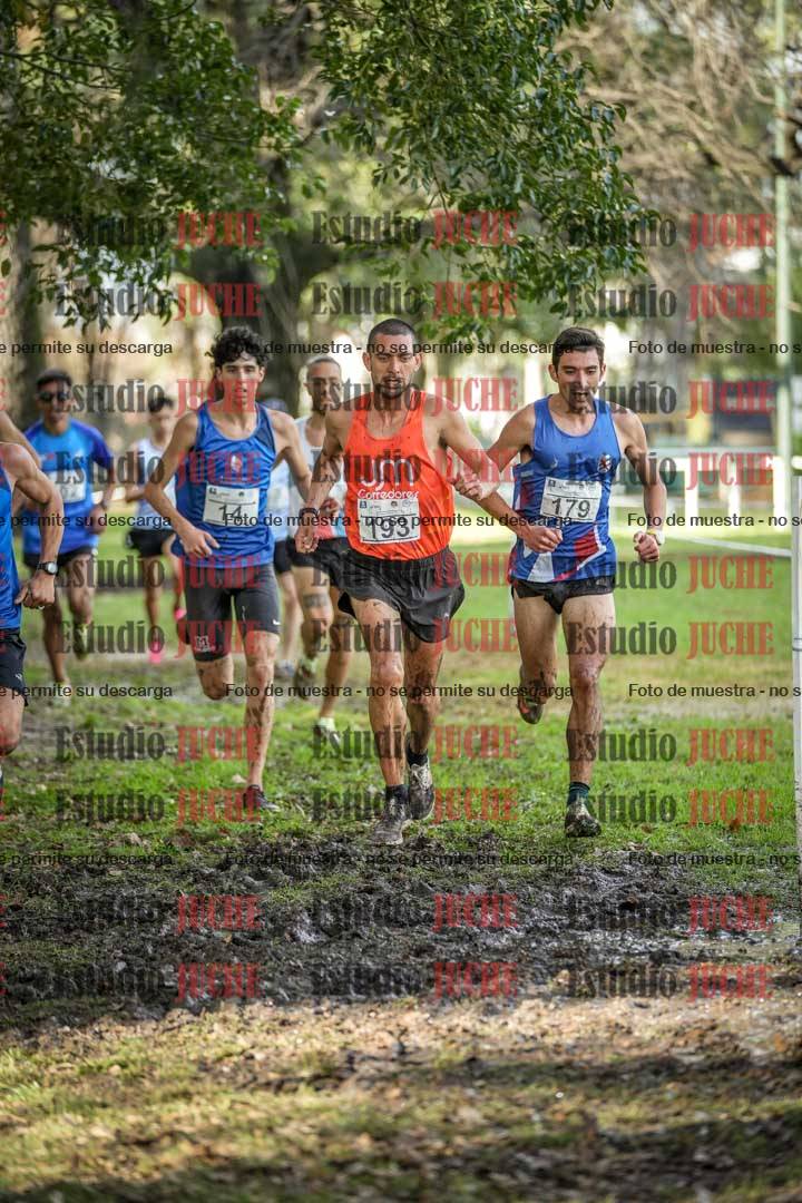 Fotos en el circuito