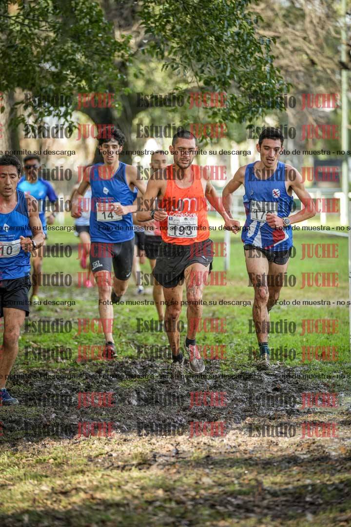 Fotos en el circuito