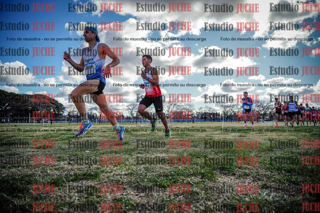 Fotos en el circuito