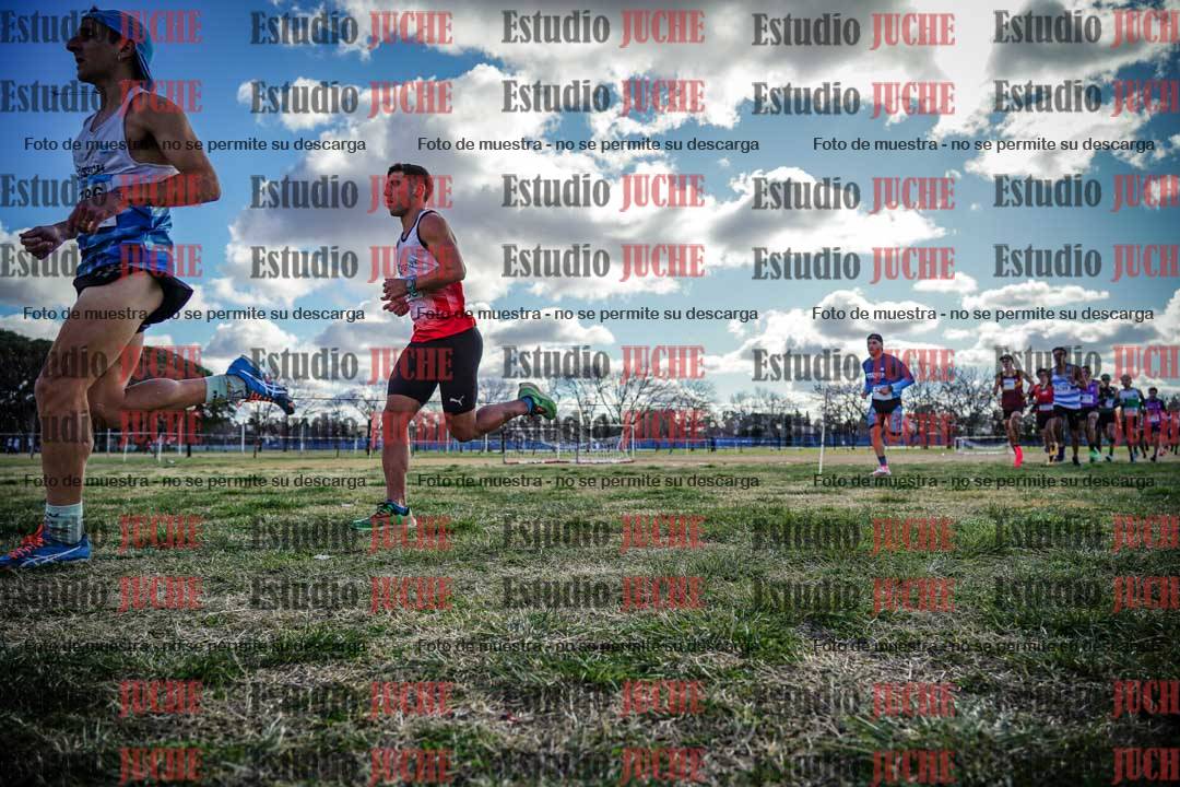 Fotos en el circuito