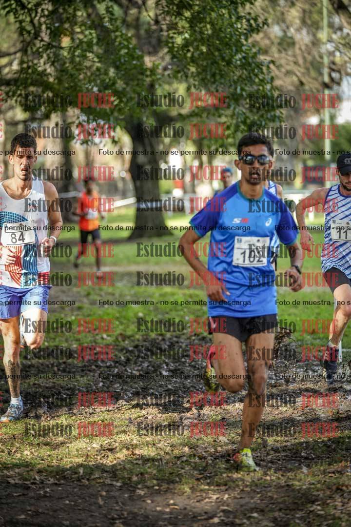 Fotos en el circuito