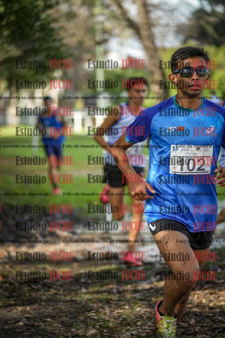 Fotos en el circuito