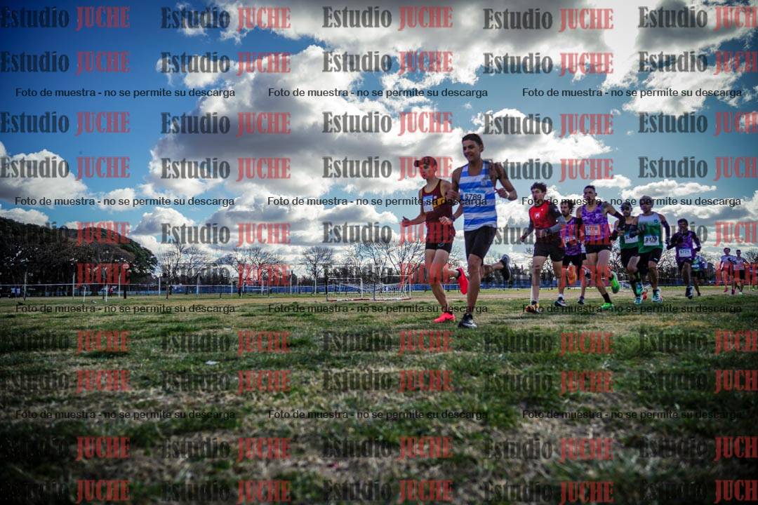 Fotos en el circuito