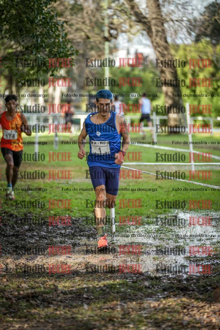 Fotos en el circuito