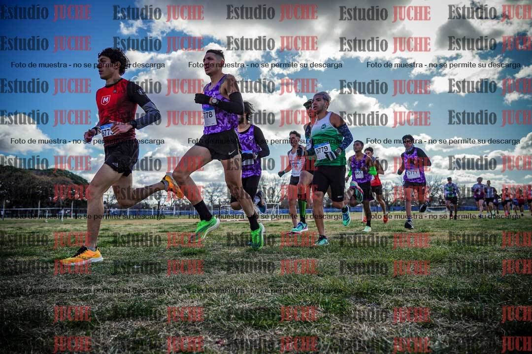 Fotos en el circuito
