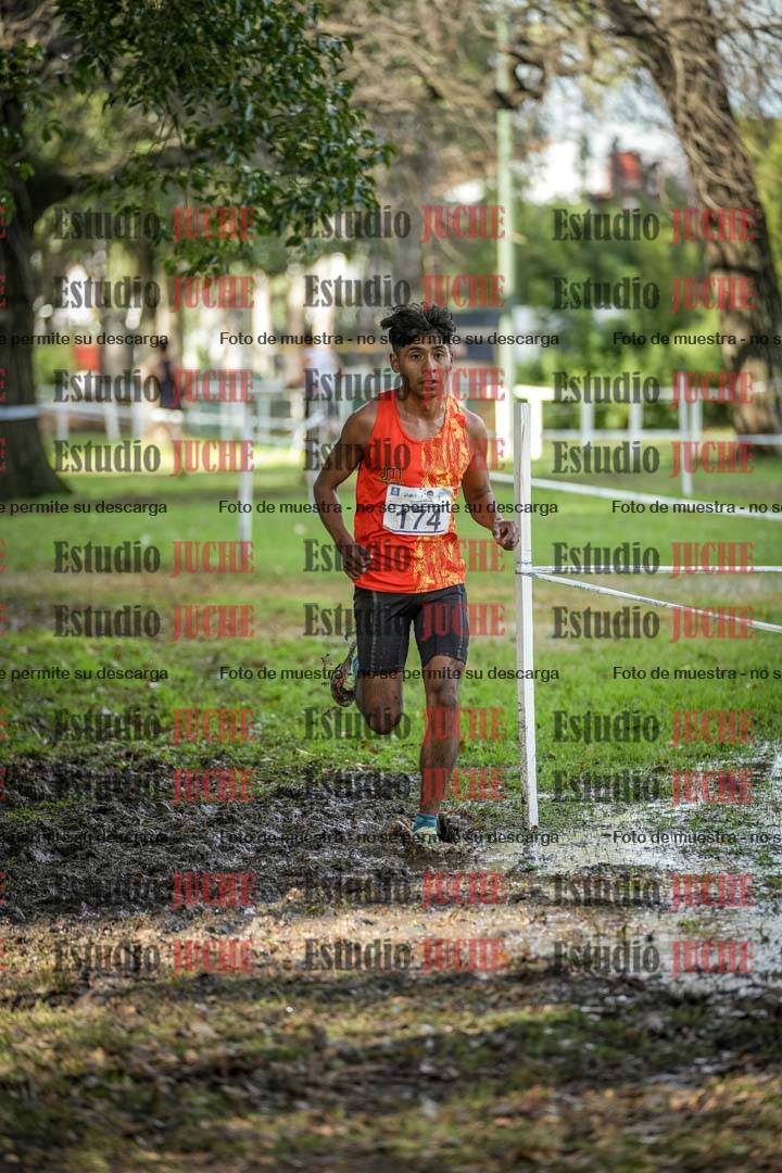 Fotos en el circuito