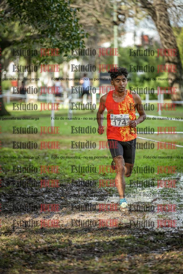 Fotos en el circuito