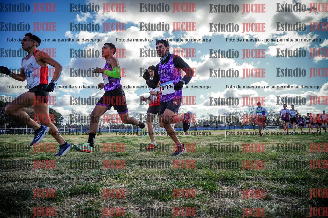 Fotos en el circuito