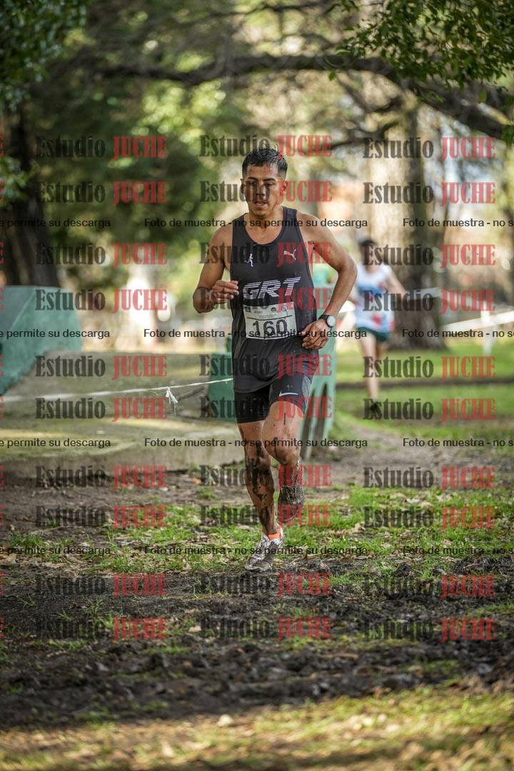 Fotos en el circuito