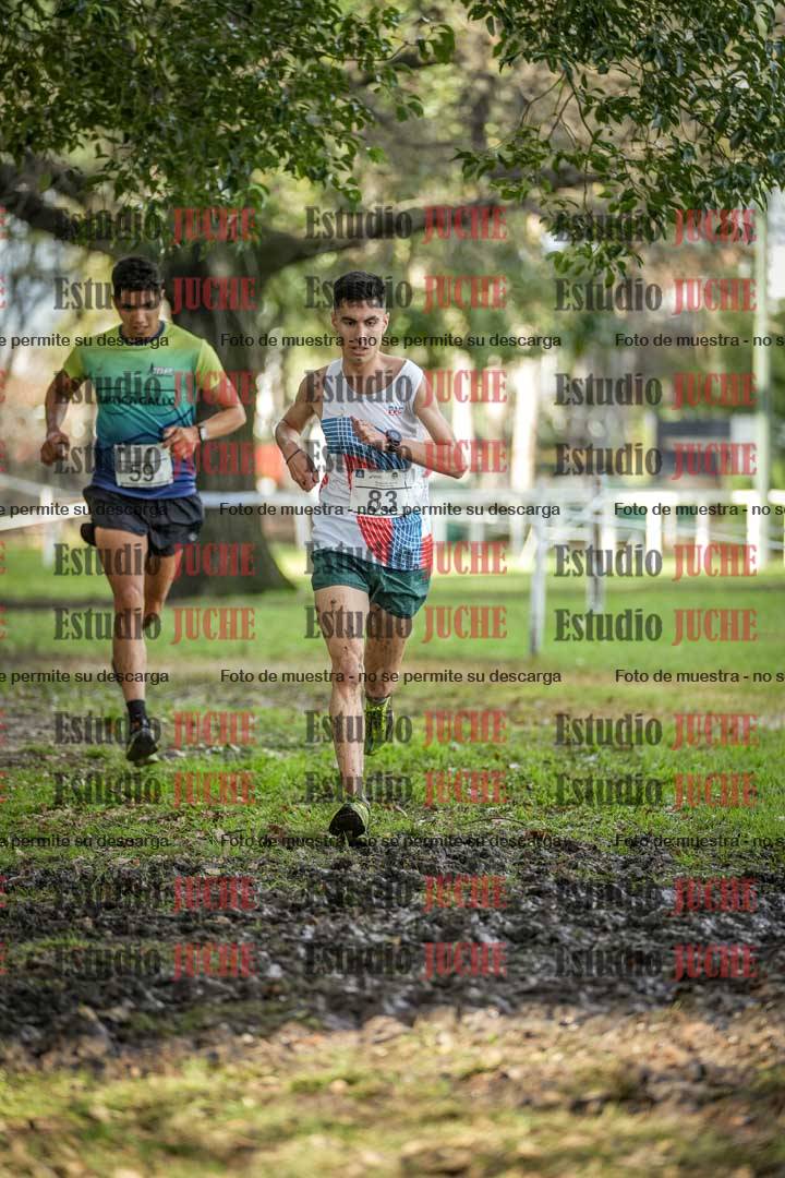 Fotos en el circuito