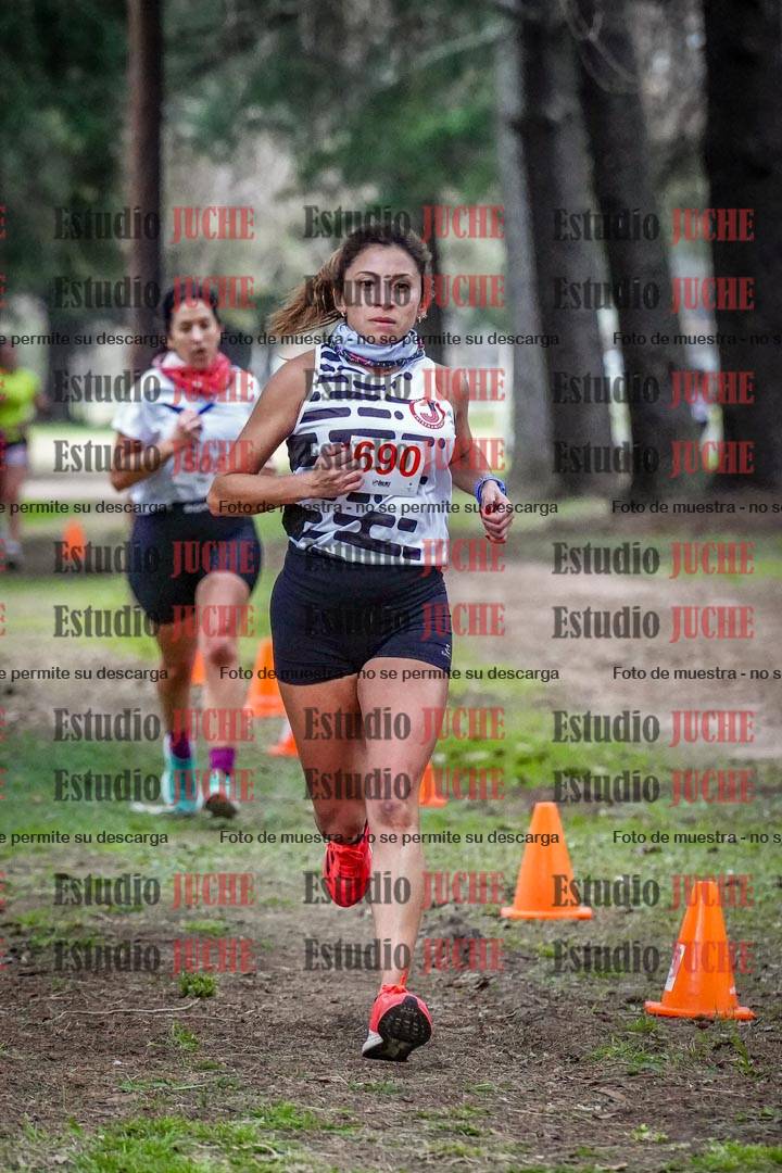Fotos en el circuito