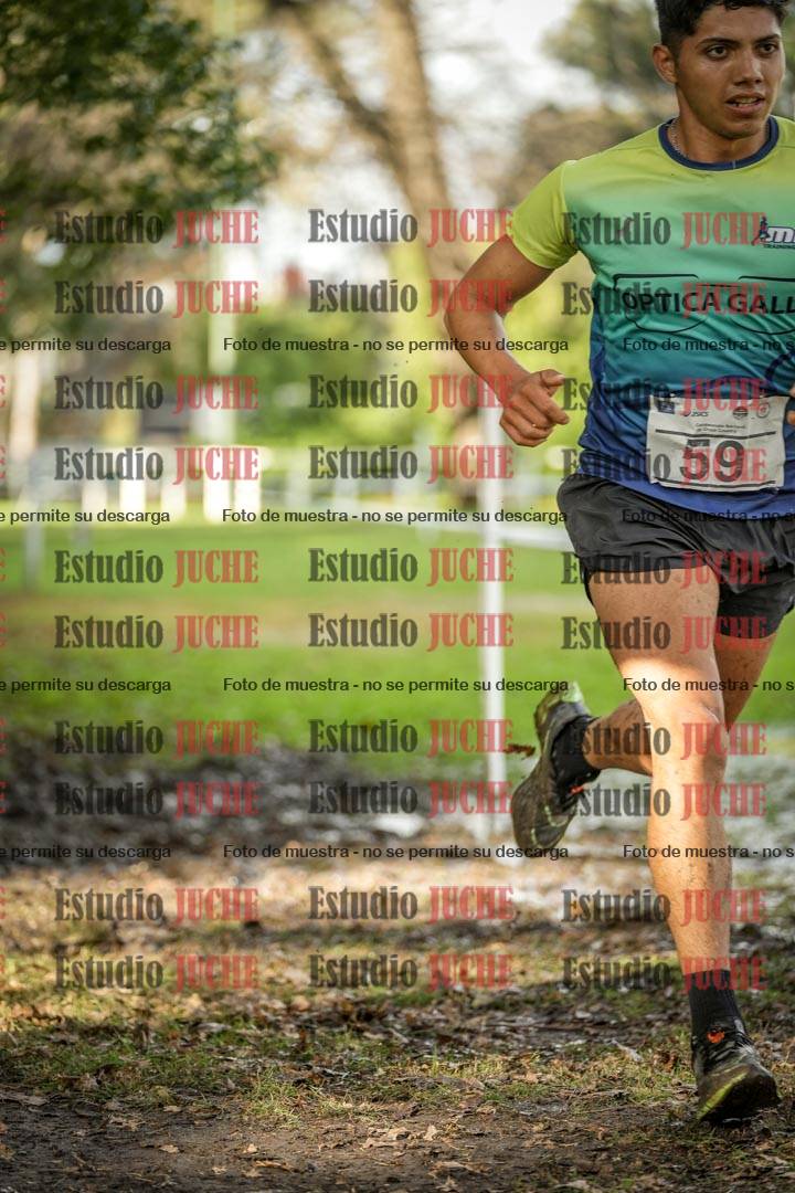 Fotos en el circuito
