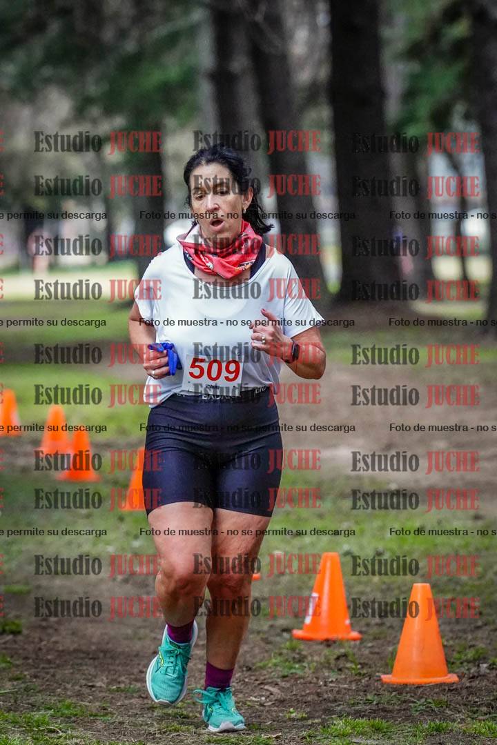 Fotos en el circuito