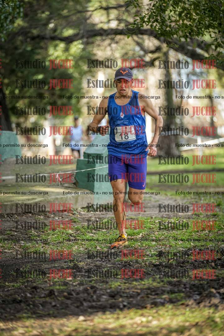 Fotos en el circuito