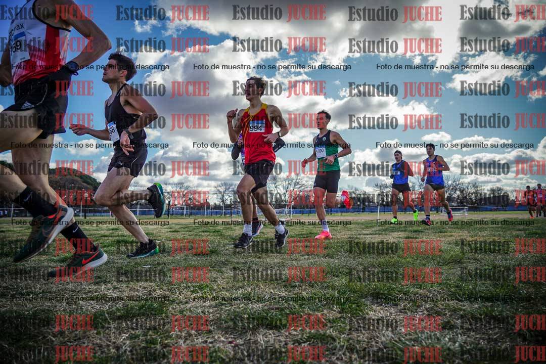 Fotos en el circuito