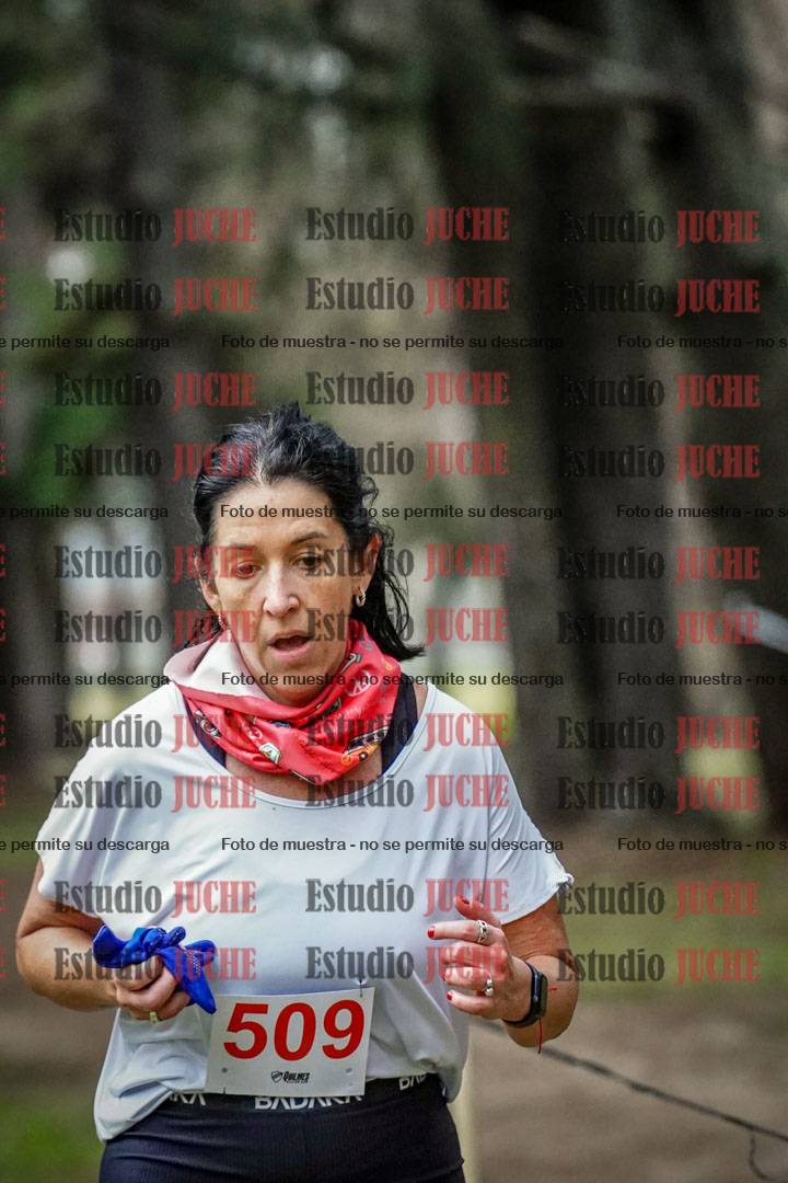 Fotos en el circuito