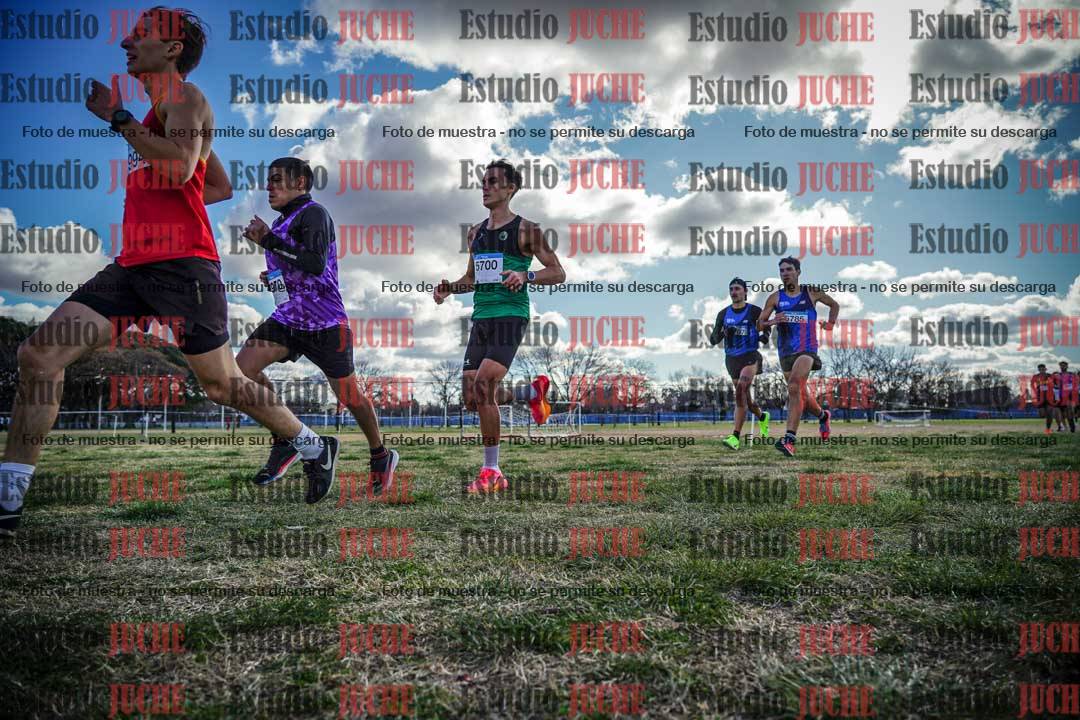 Fotos en el circuito