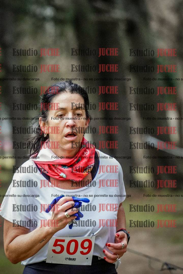 Fotos en el circuito