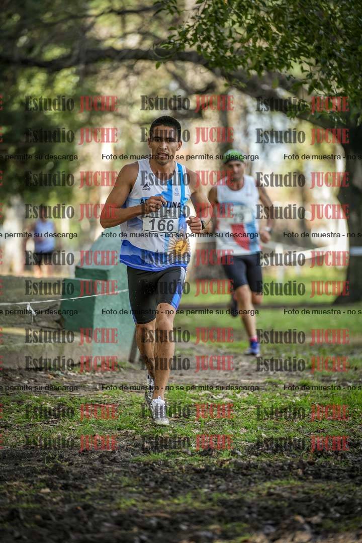 Fotos en el circuito