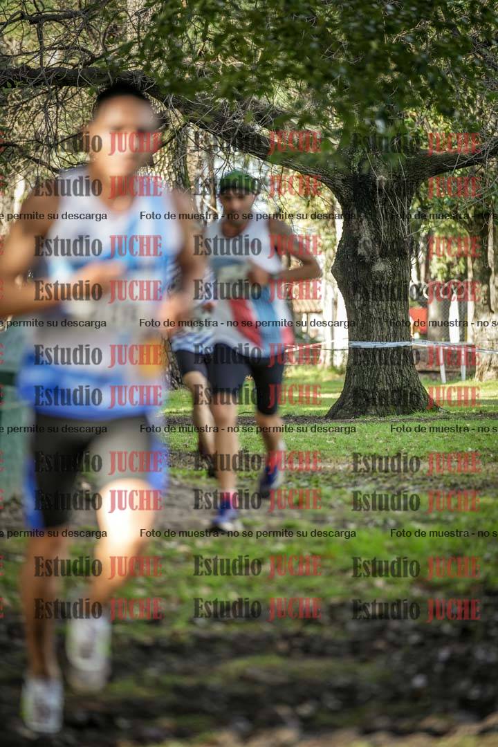 Fotos en el circuito