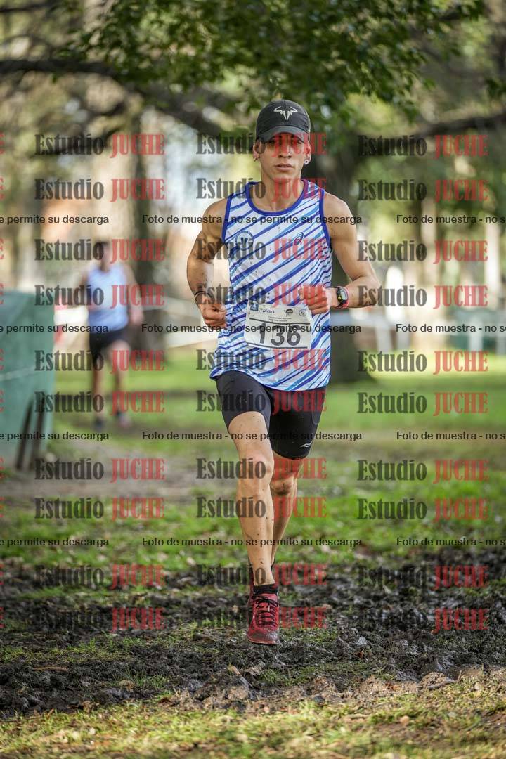 Fotos en el circuito