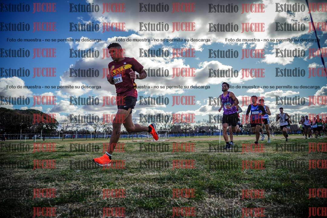 Fotos en el circuito