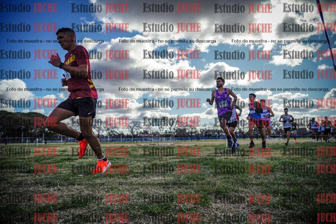 Fotos en el circuito