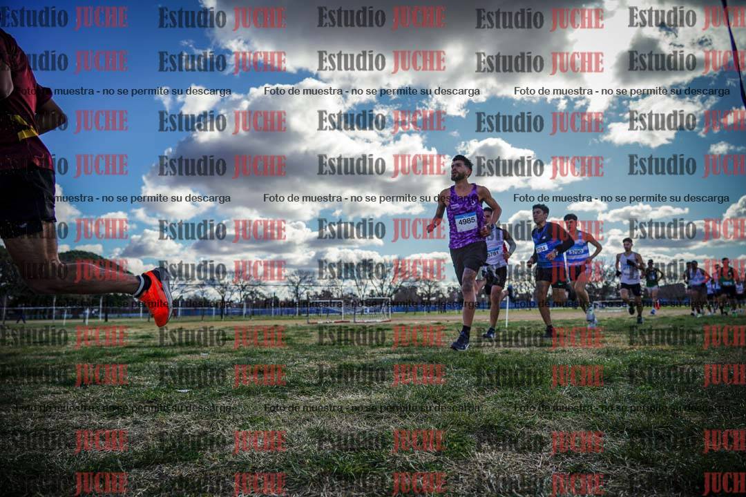 Fotos en el circuito