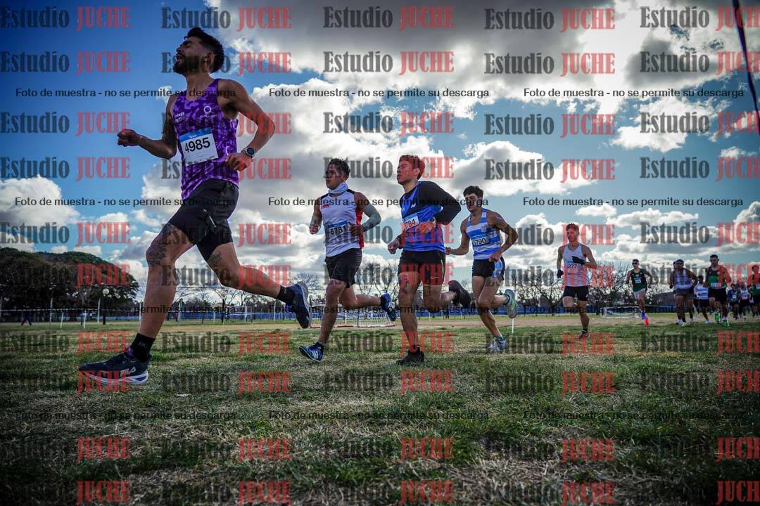 Fotos en el circuito