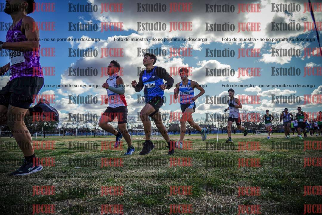 Fotos en el circuito