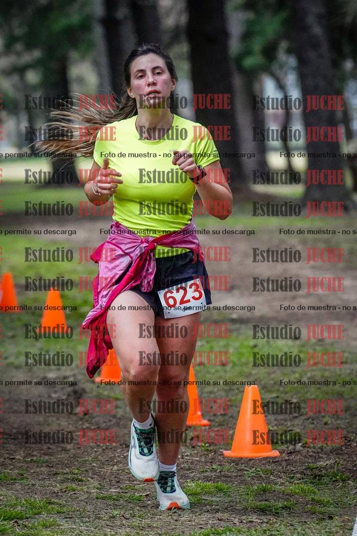 Fotos en el circuito