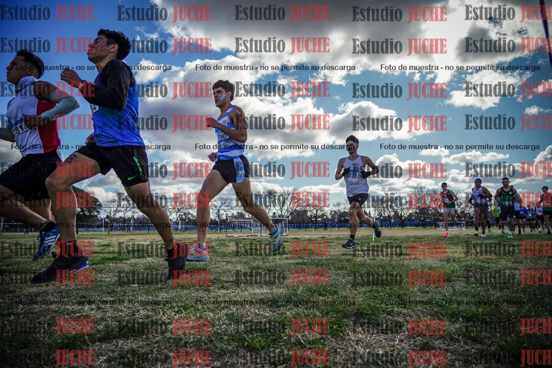 Fotos en el circuito