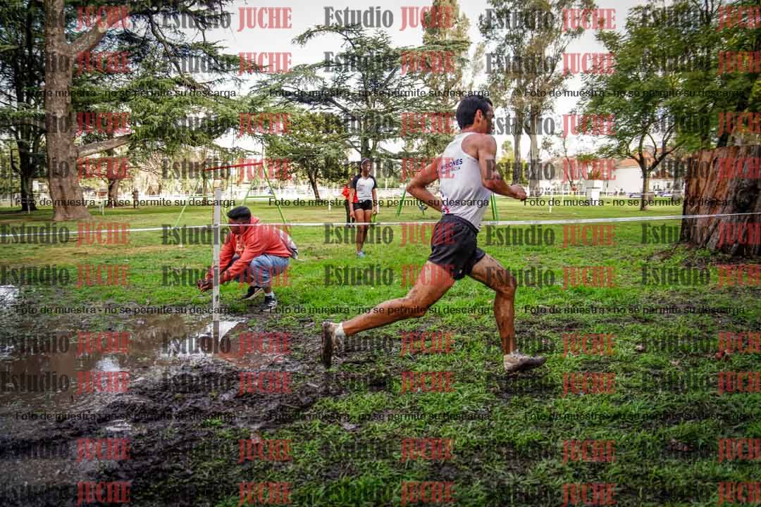 Fotos en el circuito