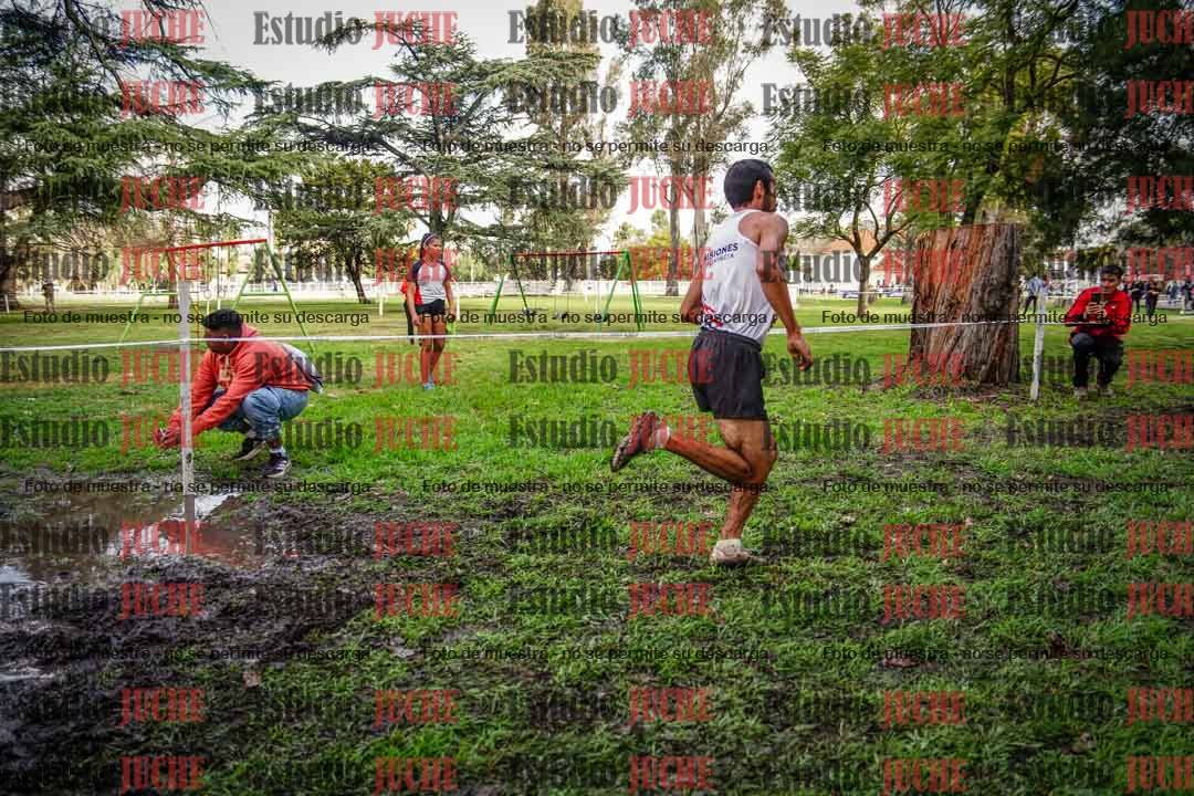 Fotos en el circuito