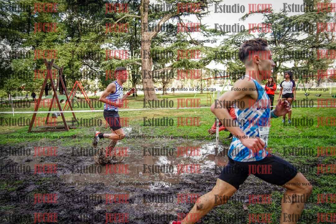 Fotos en el circuito