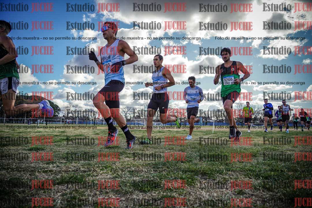 Fotos en el circuito