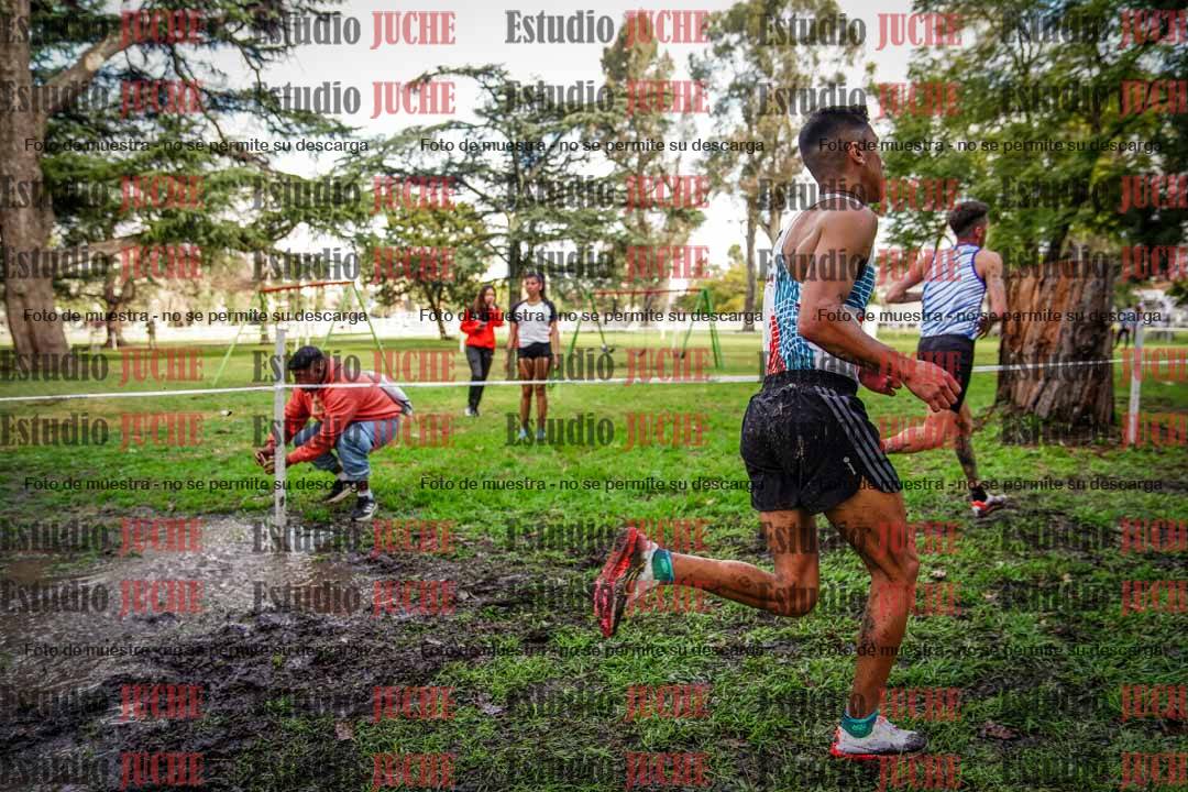 Fotos en el circuito
