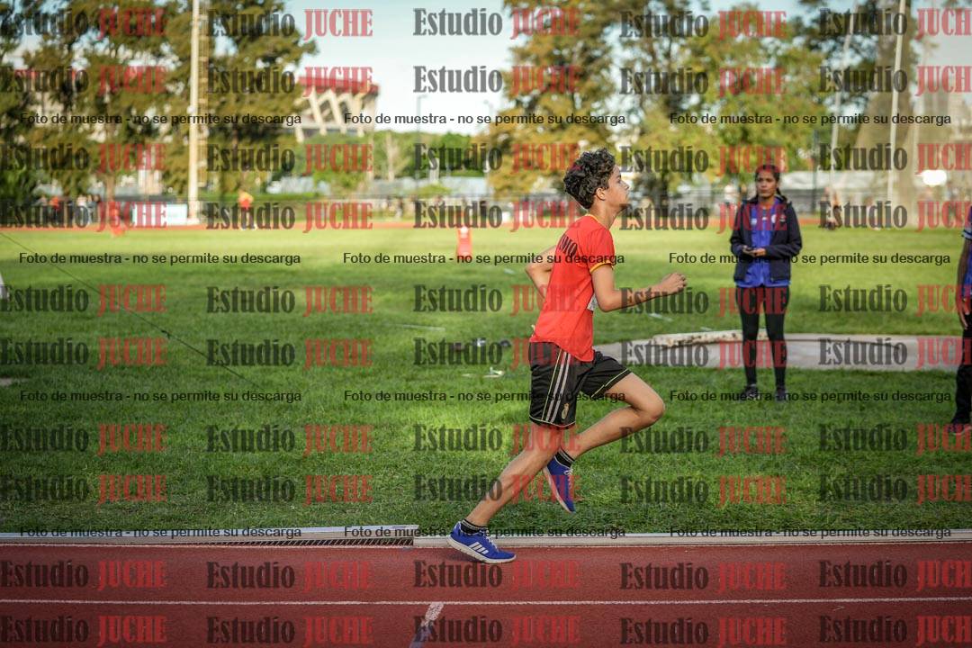 Fotos de los 1500 m llanos de varones