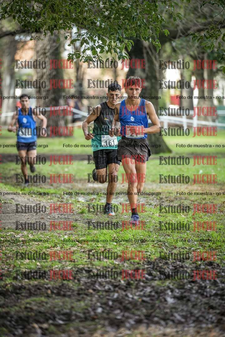 Fotos en el circuito