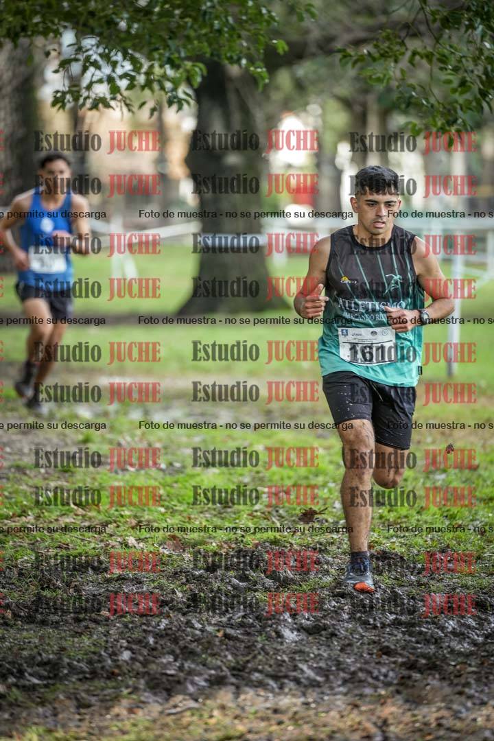 Fotos en el circuito