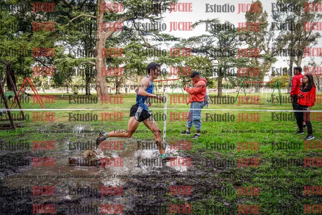 Fotos en el circuito
