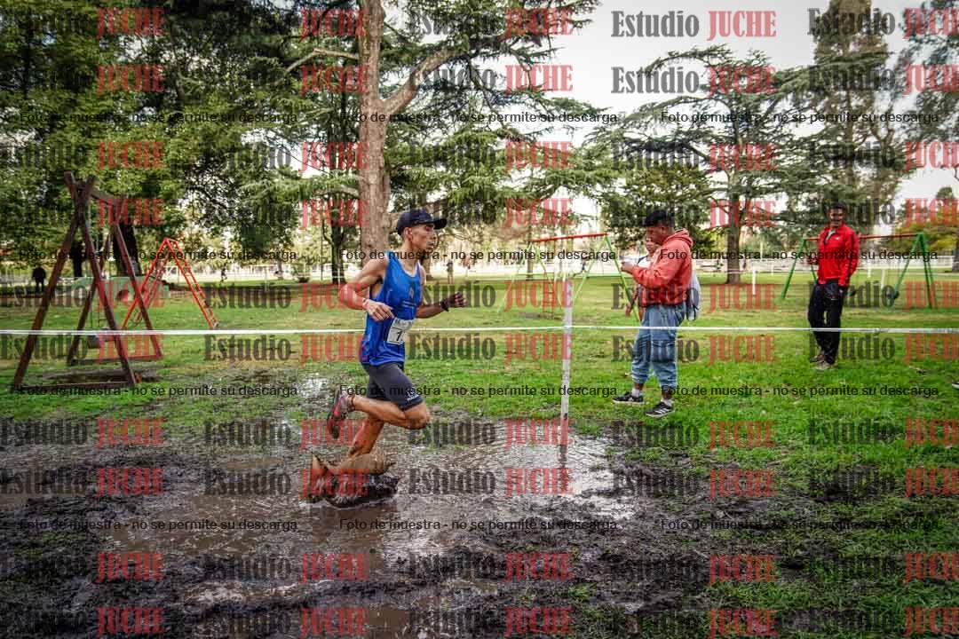 Fotos en el circuito