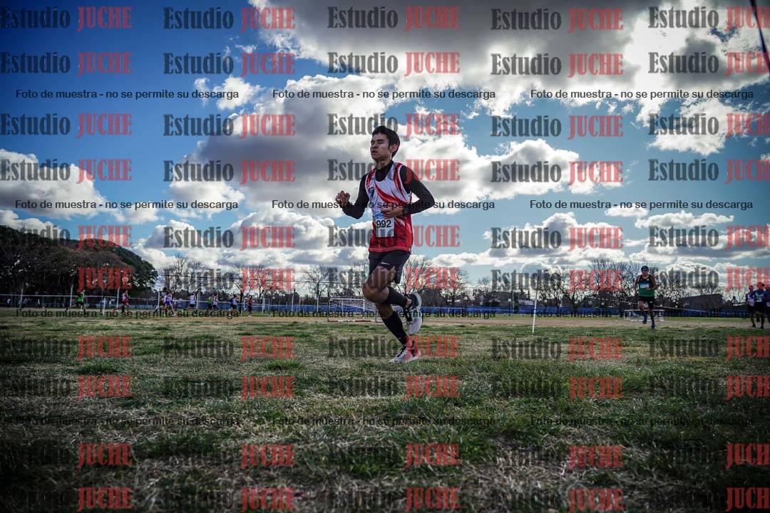 Fotos en el circuito
