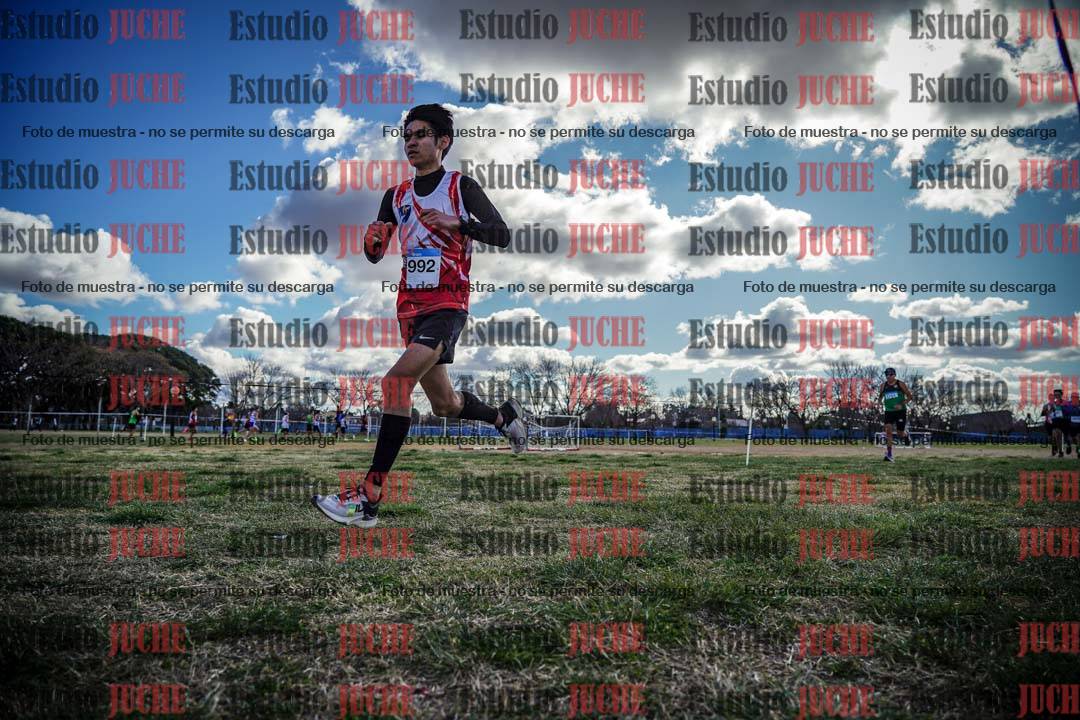Fotos en el circuito