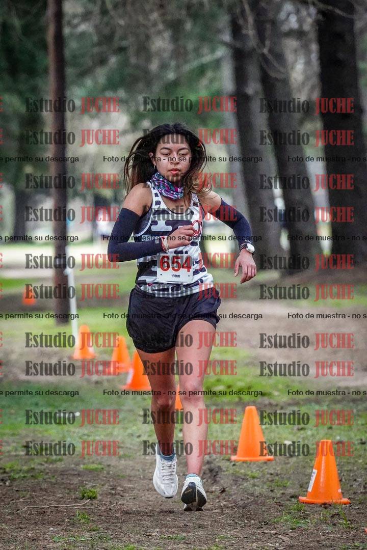 Fotos en el circuito