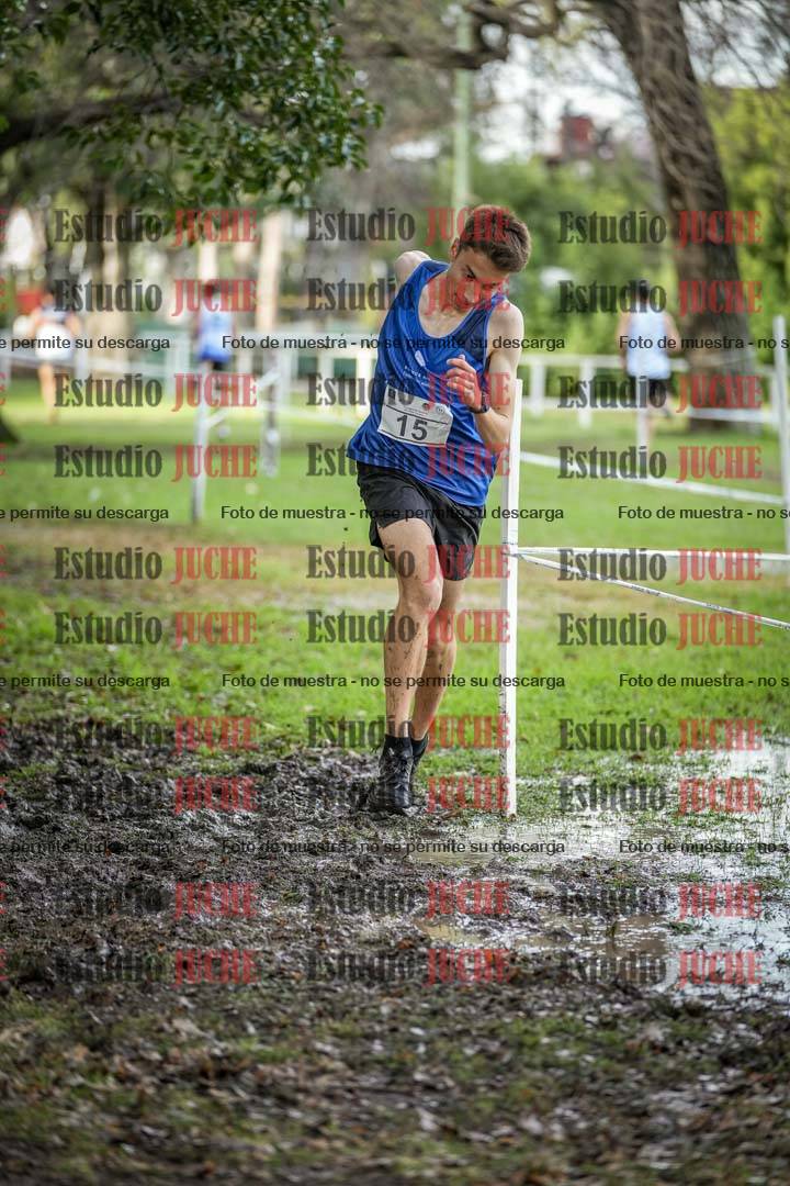 Fotos en el circuito