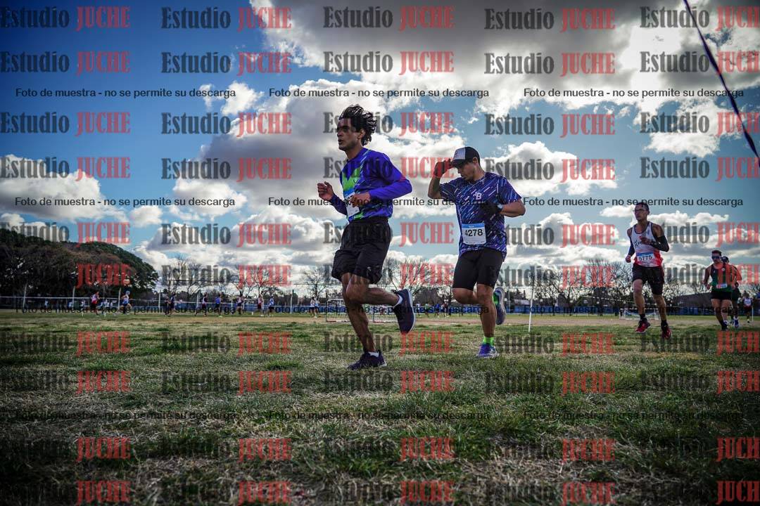 Fotos en el circuito