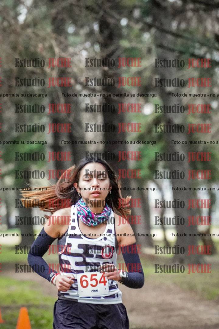 Fotos en el circuito